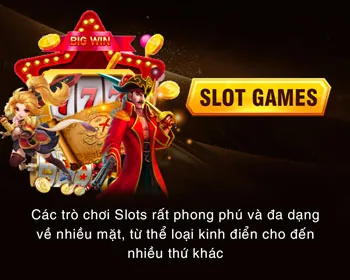 Chống gian lận D79BET